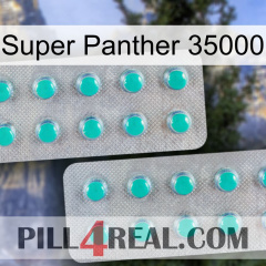 Super Panther 35000 29